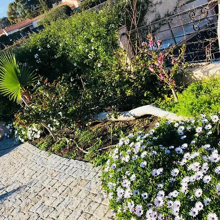 Villa Corniche Des Cigales