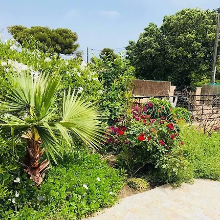 Corniche Des Cigales Villa Les Issambres
